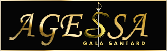 Logo AGESSA
