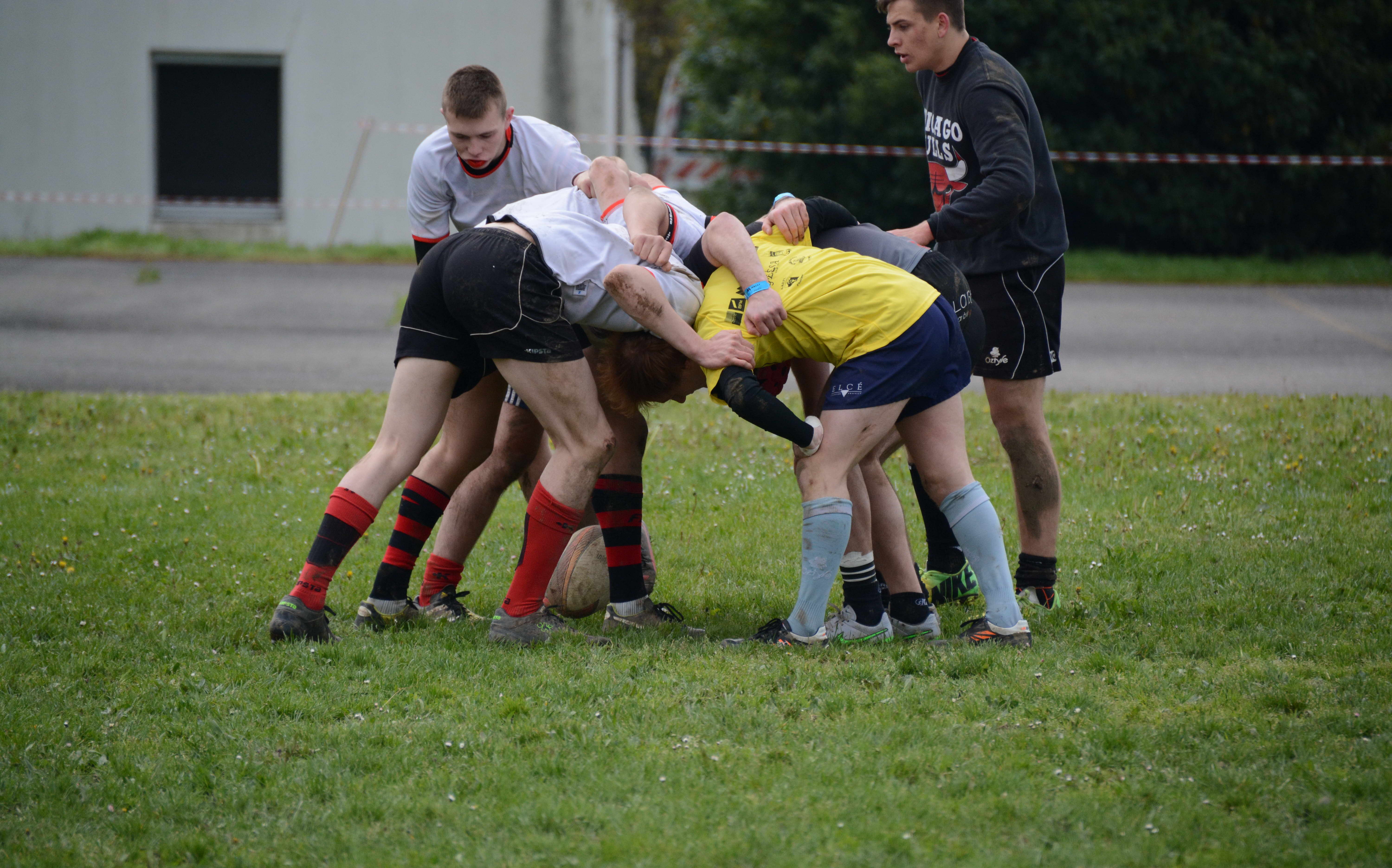 Rugby